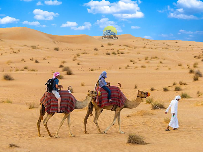 Camel Ride Desert Safari Dubai 3